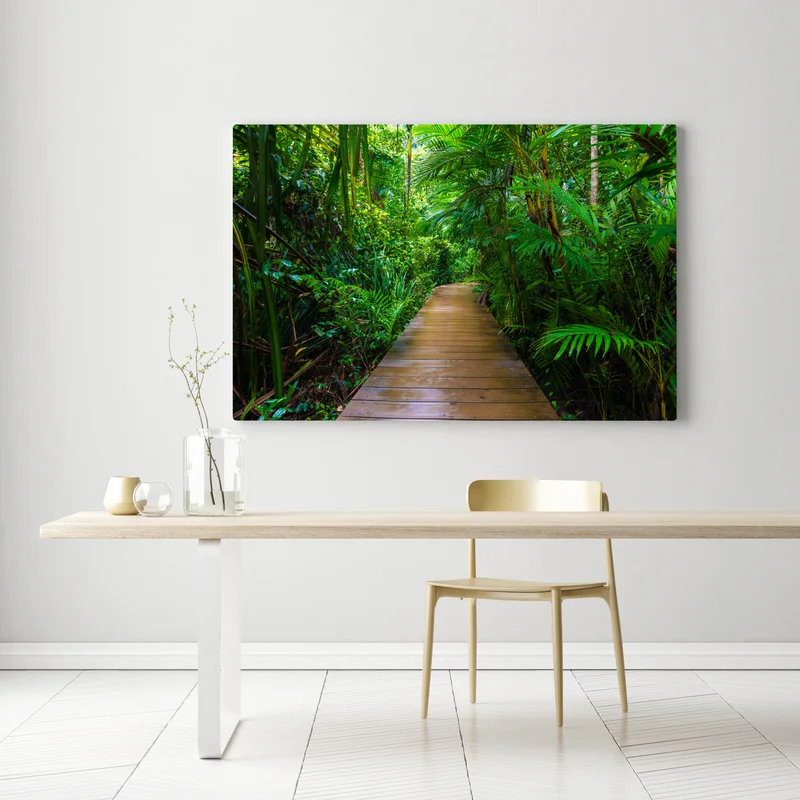 Leinwandbild mangrovensteg durch üppigen grünen dschungel Leinwandbild mangrovensteg durch üppigen grünen dschungel
