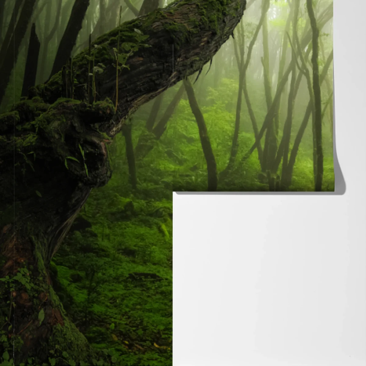 Fototapete nebliger grüner waldpfad Fototapete nebliger grüner waldpfad