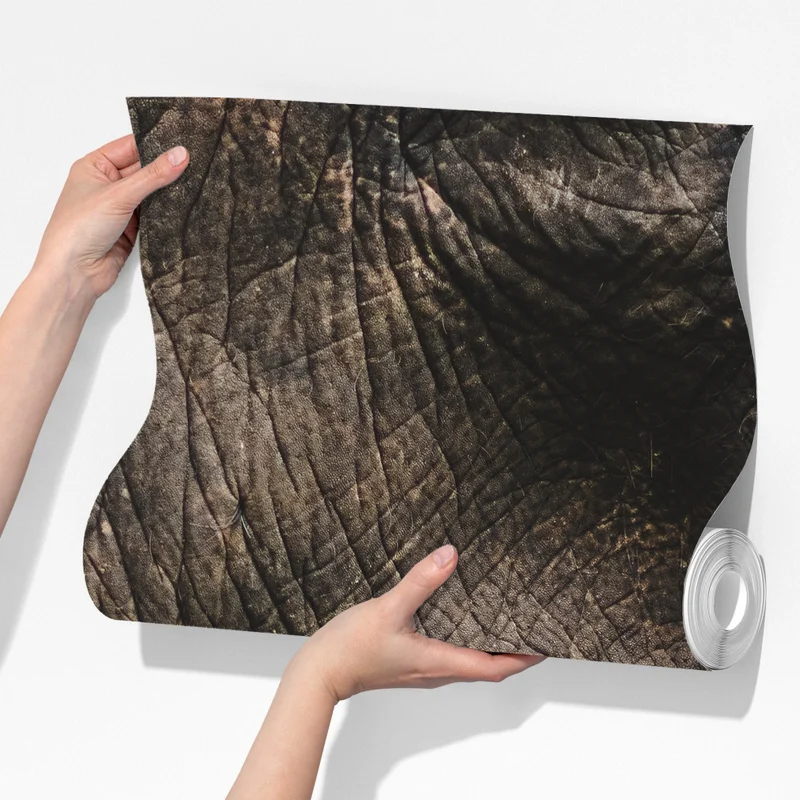 Fototapete asiatischer elefant nahaufnahme Fototapete asiatischer elefant nahaufnahme