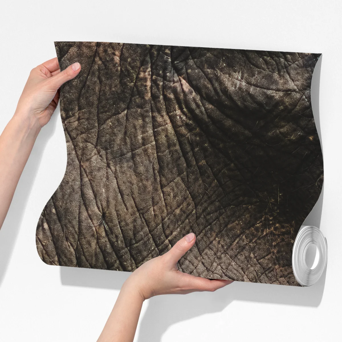 Fototapete asiatischer elefant nahaufnahme Fototapete asiatischer elefant nahaufnahme