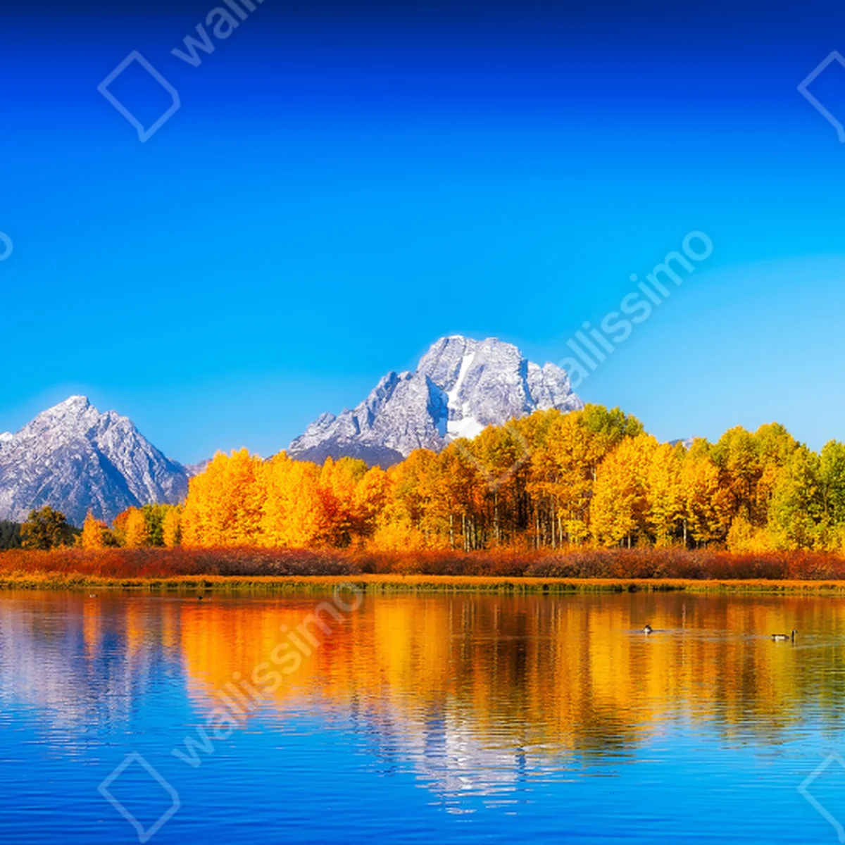 Fototapeta jesienna panorama gór i jeziora Fototapeta jesienna panorama gór i jeziora