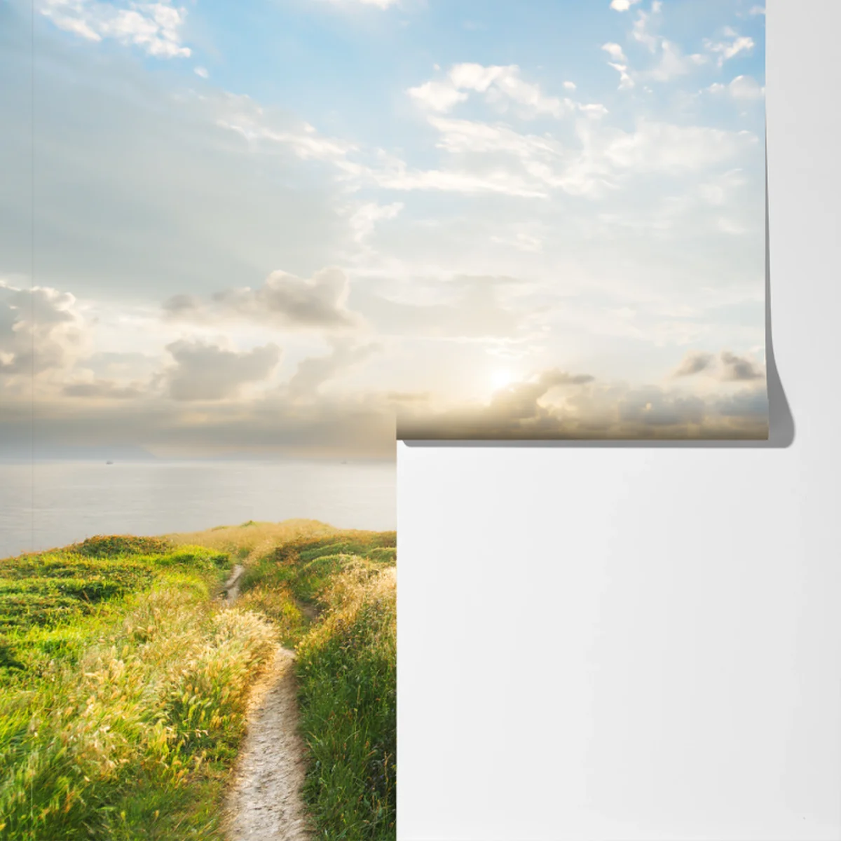 Fototapete sonniger küstenpfad zum meer Fototapete sonniger küstenpfad zum meer