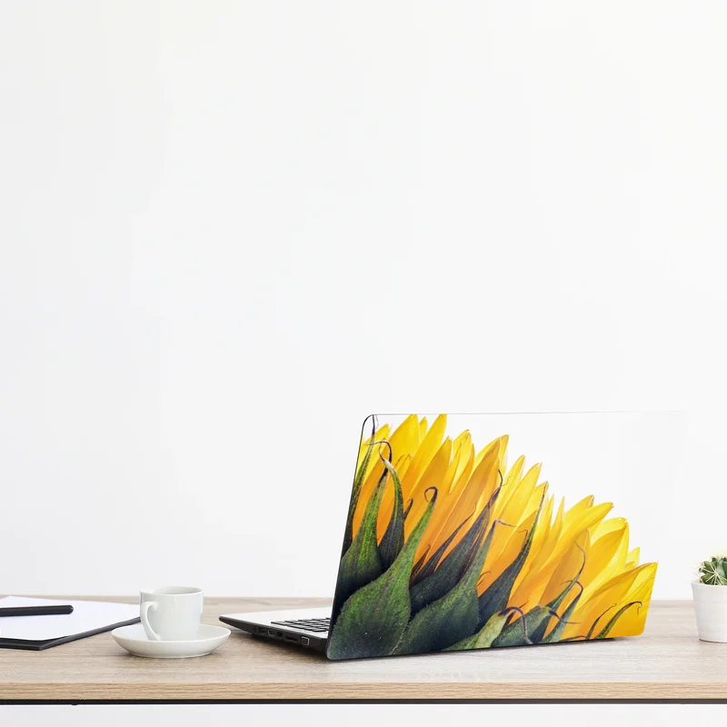 Laptop-Aufkleber sonnenblume in der ecke auf weißem hintergrund