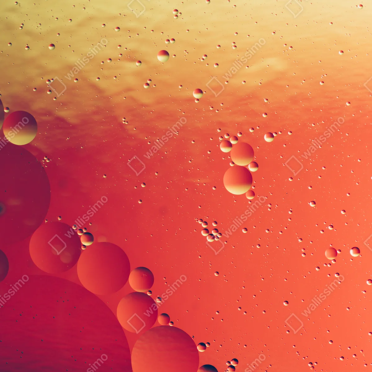 Leinwandbild warme orange abstraktion mit blasen Leinwandbild warme orange abstraktion mit blasen