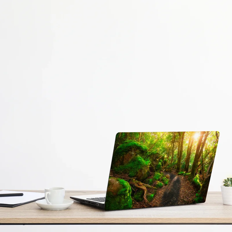 Laptop-Aufkleber sonniger pfad im regenwald der Tasman-Halbinsel, Tasmanien