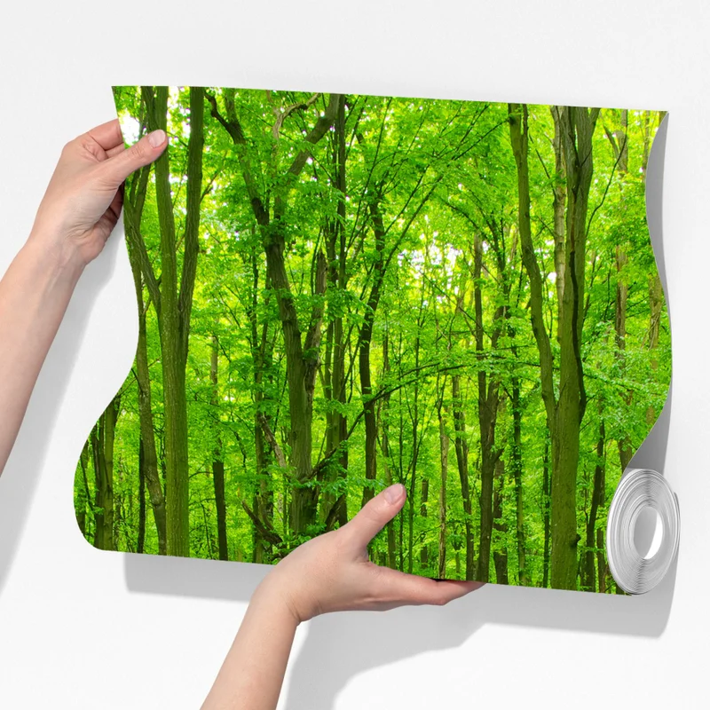 Fototapeta spokojna zielona leśna ścieżka Fototapeta spokojna zielona leśna ścieżka