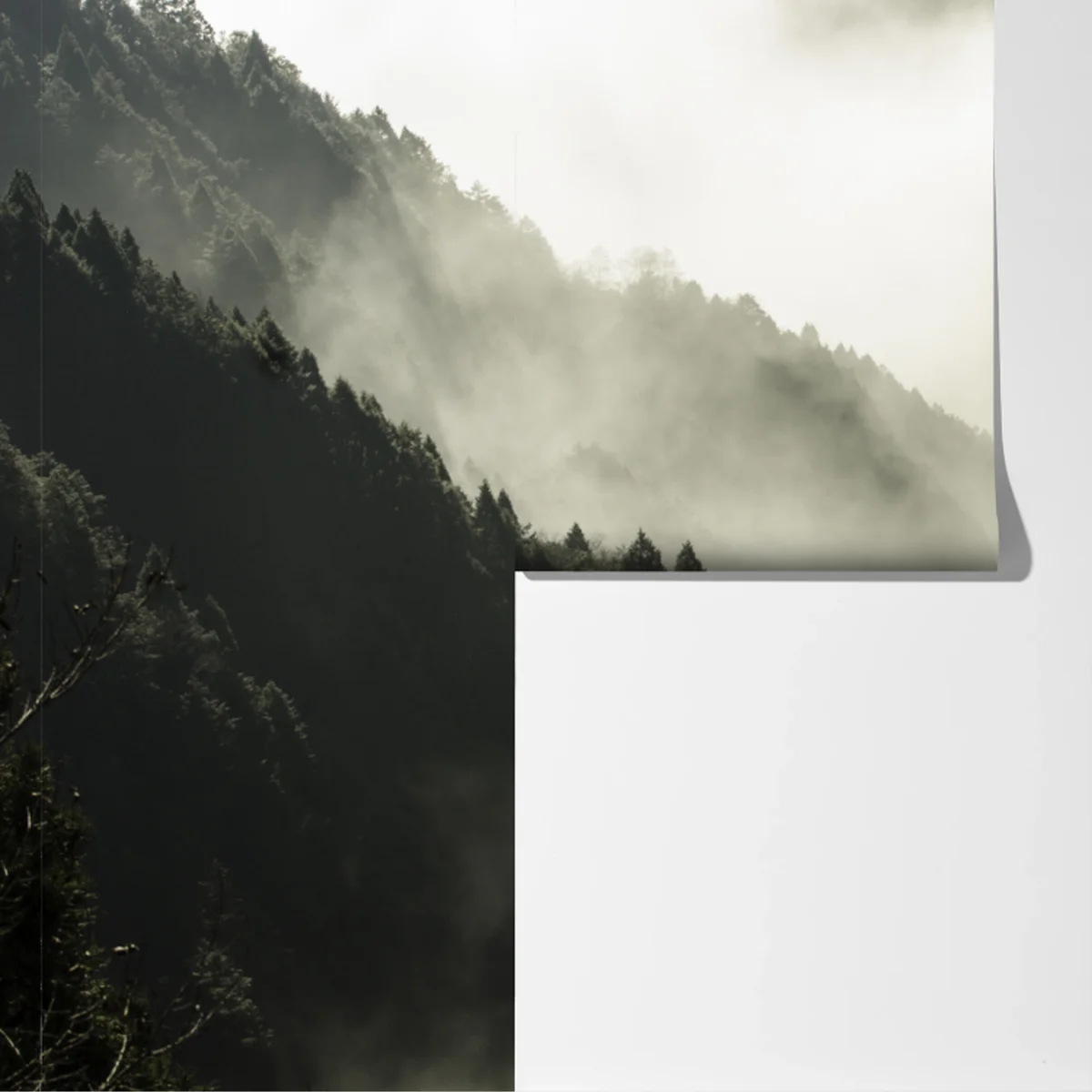 Fototapeta mglista górska dolina Fototapeta mglista górska dolina