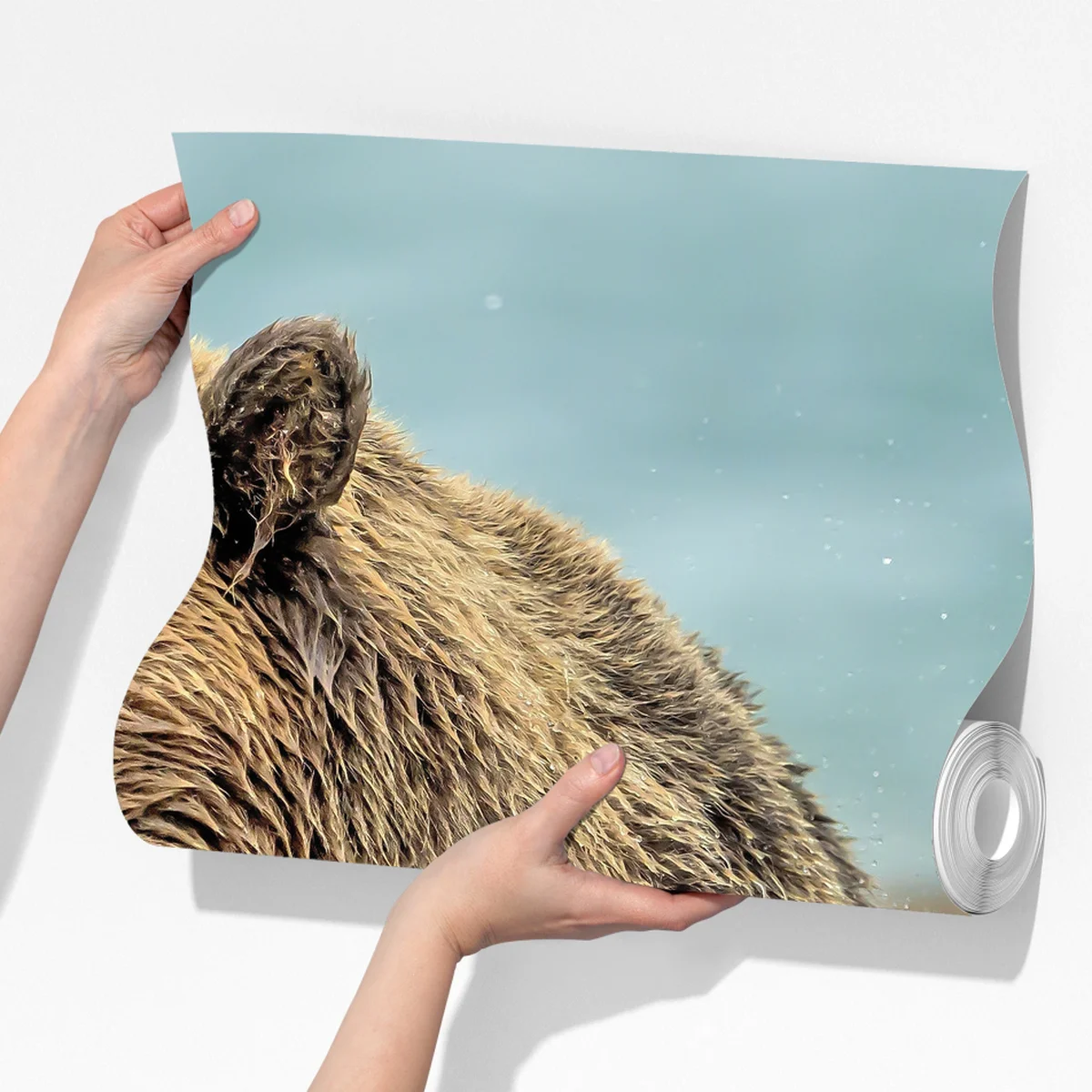 Fototapete braunbär fängt lachs im fluss Fototapete braunbär fängt lachs im fluss