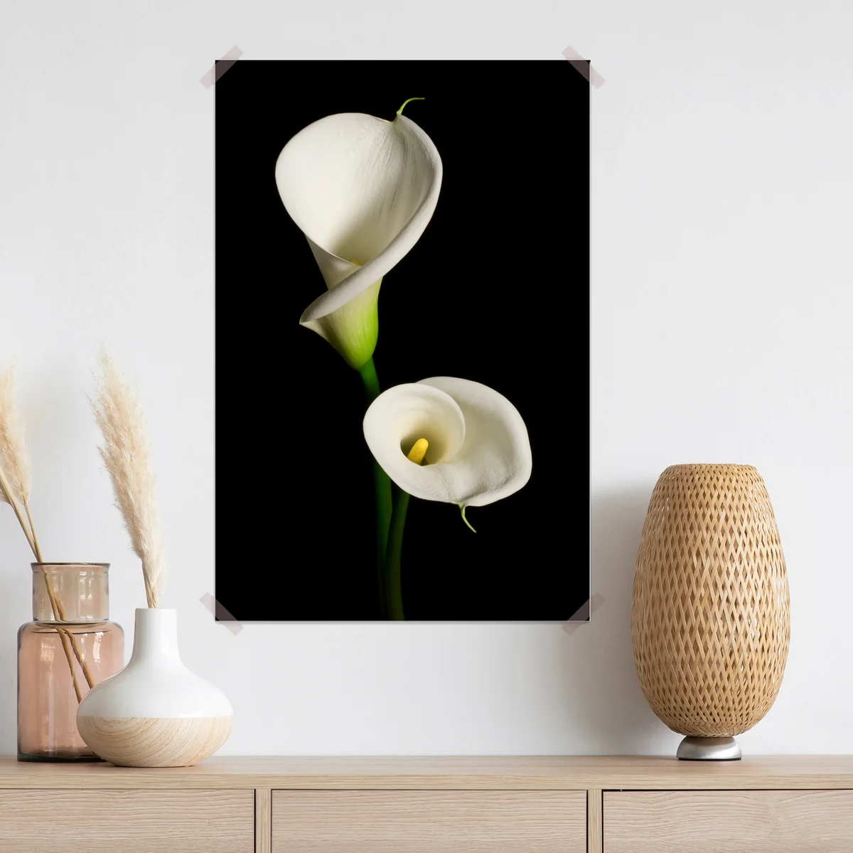 Poster weiße calla vor schwarzem hintergrund Poster weiße calla vor schwarzem hintergrund