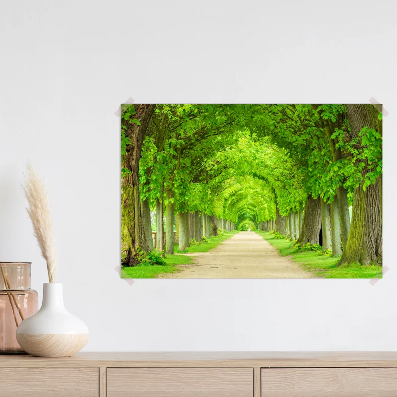 Poster grüner baumtunnel Poster grüner baumtunnel