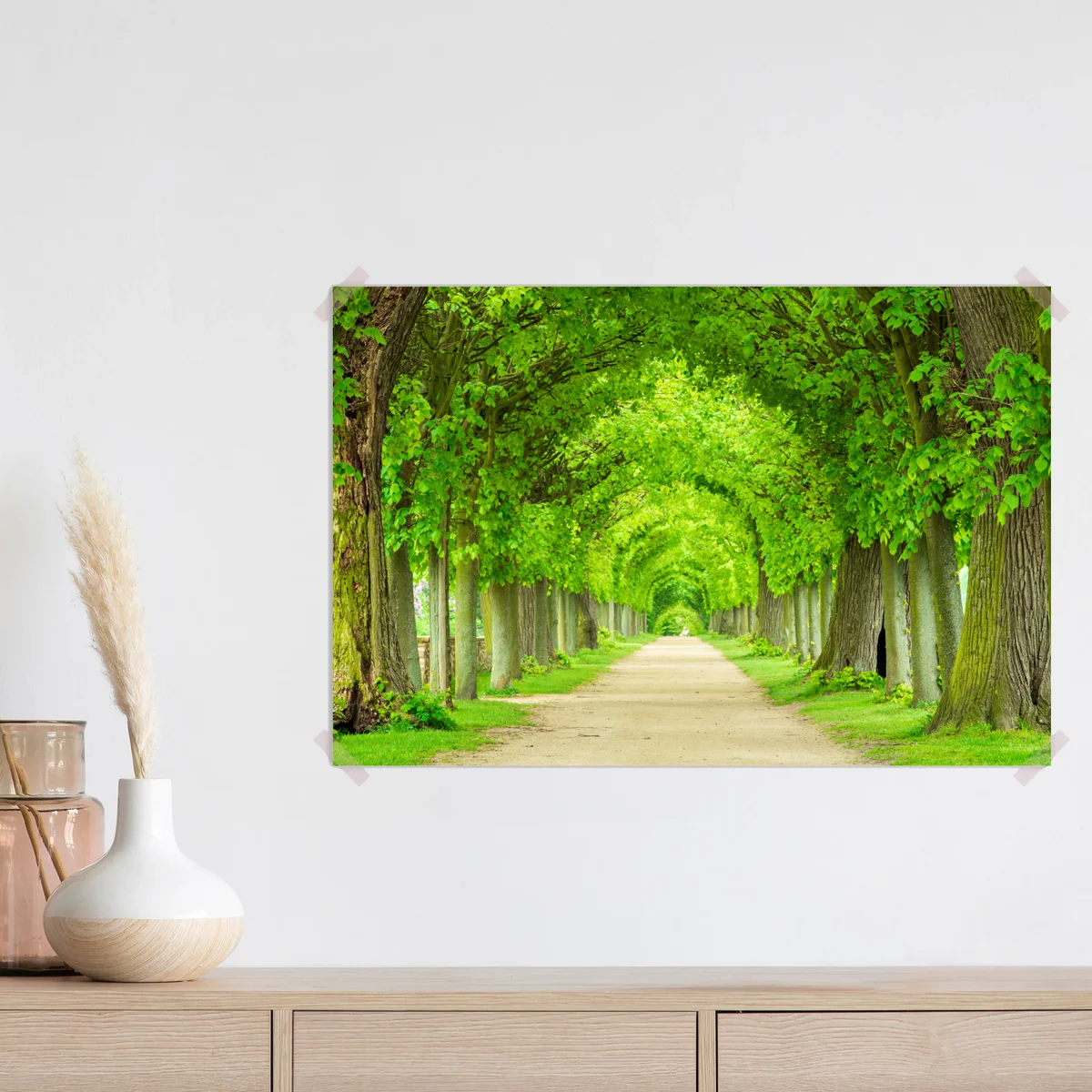 Poster grüner baumtunnel Poster grüner baumtunnel