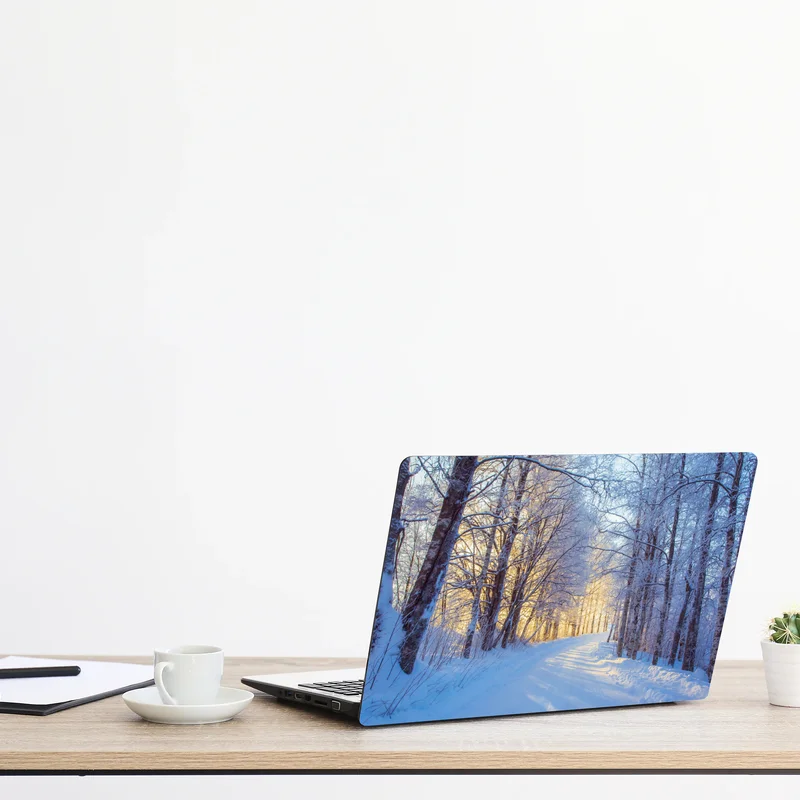 Laptop-Aufkleber birkenwald im winter bei sonnenaufgang Laptop-Aufkleber birkenwald im winter bei sonnenaufgang