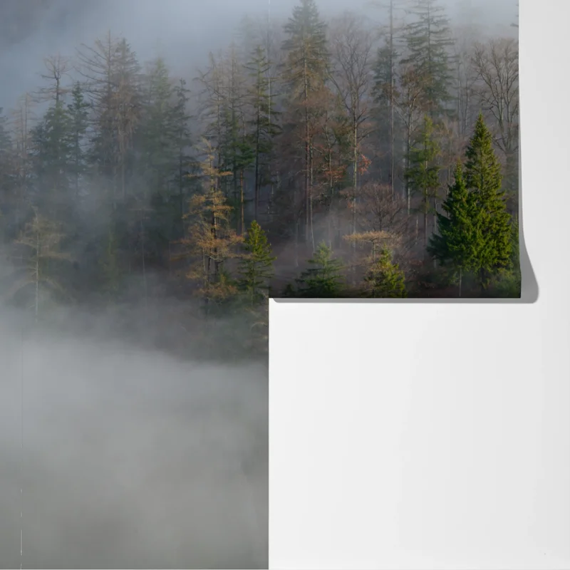 Fototapeta mglisty górski las Fototapeta mglisty górski las