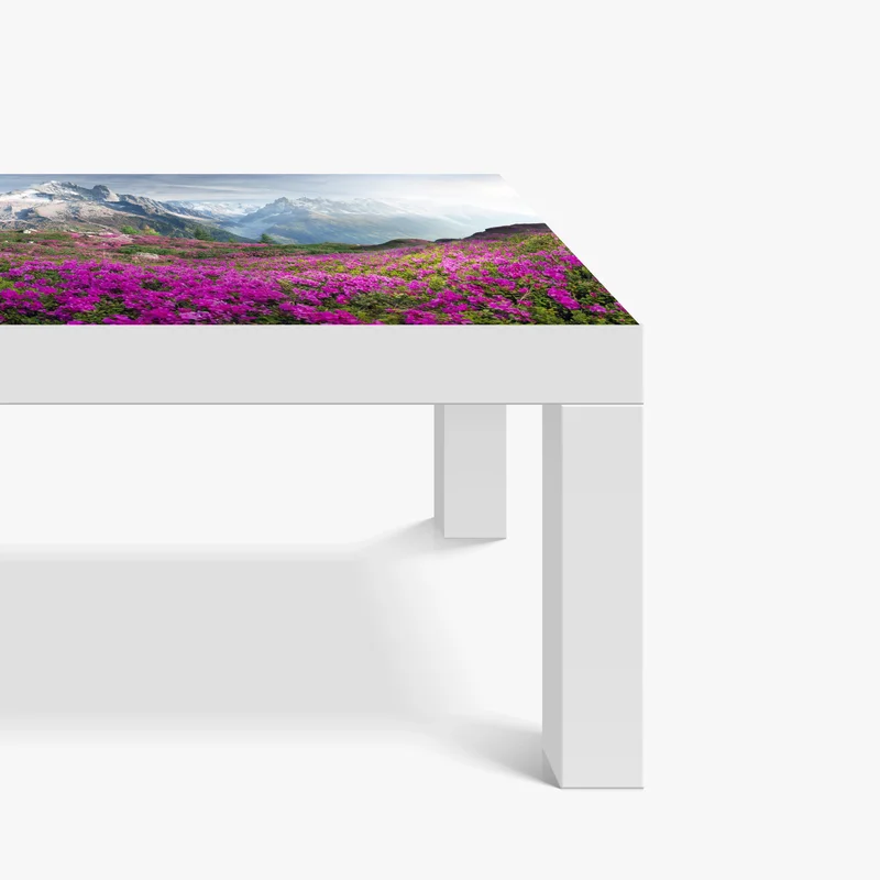 Tischaufkleber und Schreibtischaufkleber alpine rhododendronwiese bei Mont Blanc