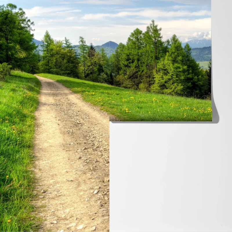 Fototapete Gorce frühlingspfad Fototapete Gorce frühlingspfad