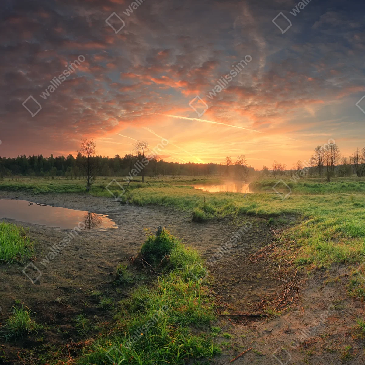 Poster sonnenuntergang über einer ruhigen wiese Poster sonnenuntergang über einer ruhigen wiese