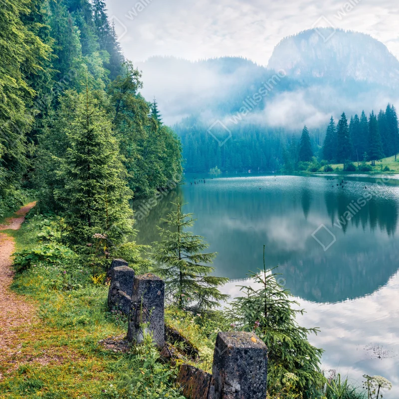 Fototapeta mglisty poranek nad Lacu Rosu Fototapeta mglisty poranek nad Lacu Rosu