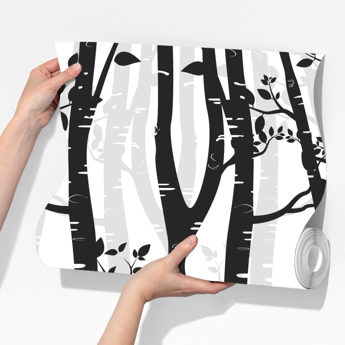 Fototapete monochromatischer birkenwald Fototapete monochromatischer birkenwald