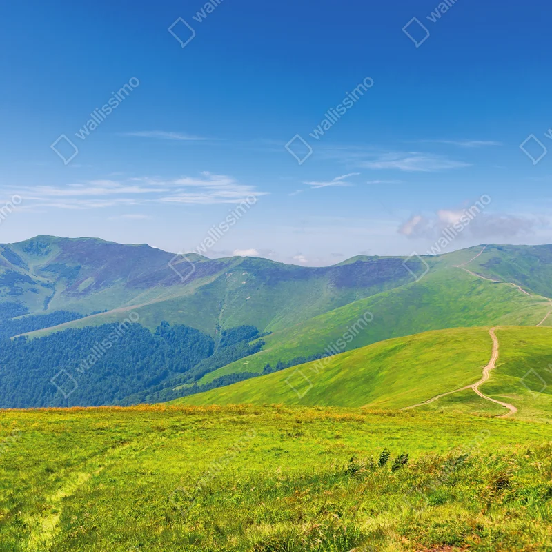 Tischaufkleber und Schreibtischaufkleber sonnige Borzhava-wiese, Transkarpatien, Ukraine Tischaufkleber und Schreibtischaufkleber sonnige Borzhava-wiese, Transkarpatien, Ukraine