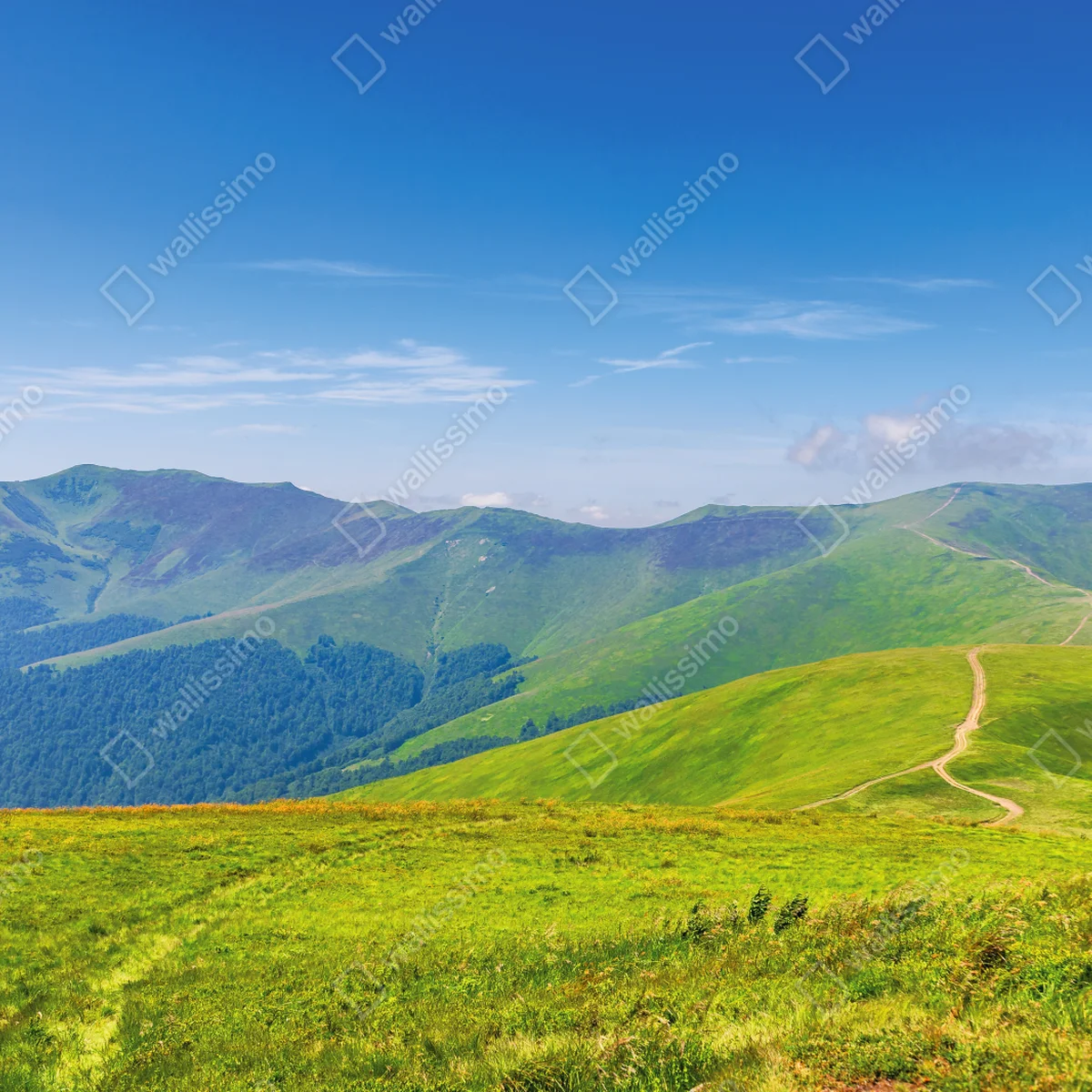 Tischaufkleber und Schreibtischaufkleber sonnige Borzhava-wiese, Transkarpatien, Ukraine Tischaufkleber und Schreibtischaufkleber sonnige Borzhava-wiese, Transkarpatien, Ukraine