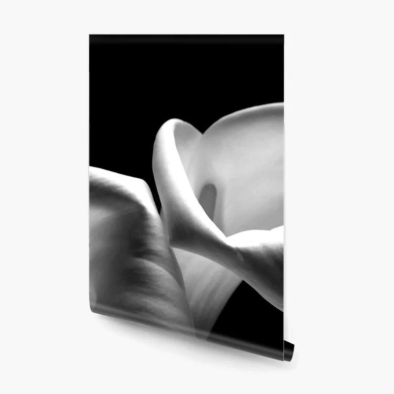 Fototapete elegante calla-blüten in monochrom Fototapete elegante calla-blüten in monochrom