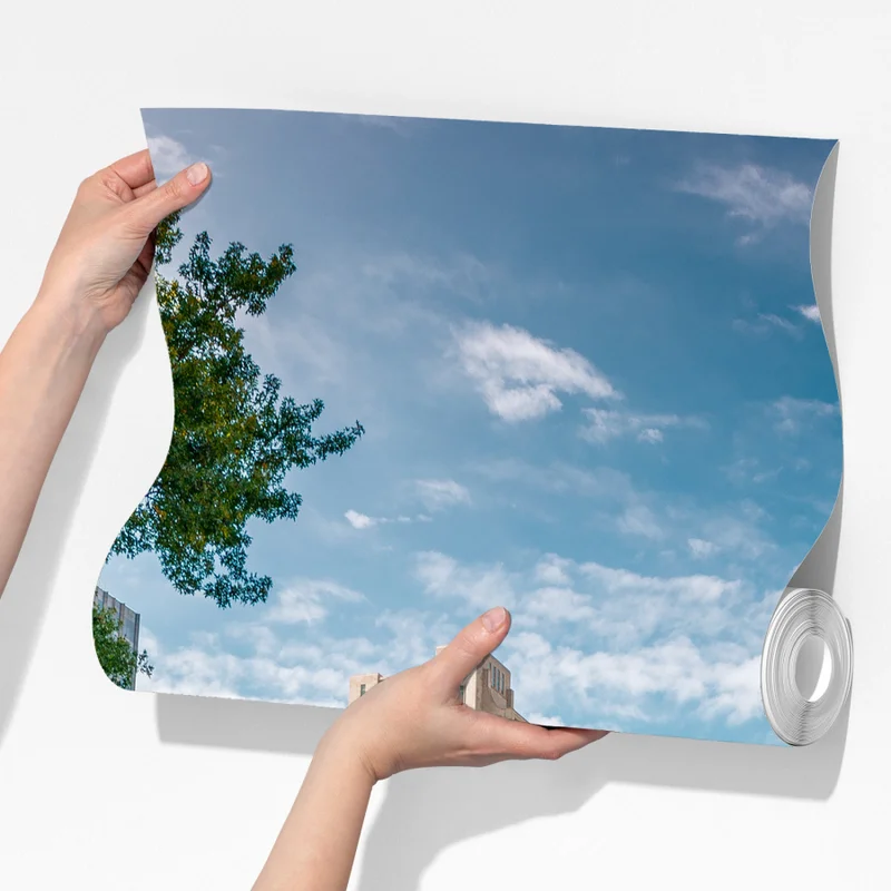 Fototapeta Central Park jesienna panorama Fototapeta Central Park jesienna panorama