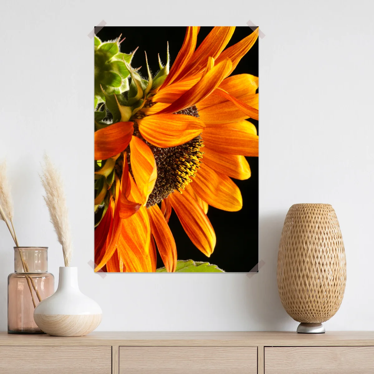 Poster leuchtende orange sonnenblume nahaufnahme Poster leuchtende orange sonnenblume nahaufnahme