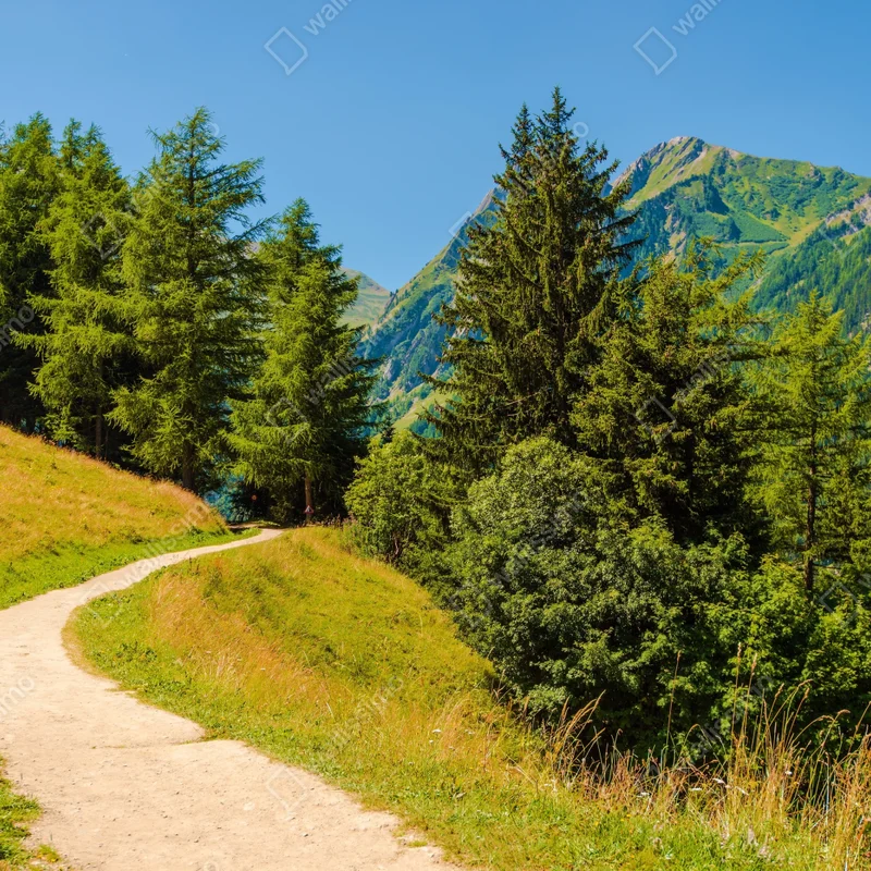 Fensteraufkleber bergweg in den Schweizer Alpen im Sommer Fensteraufkleber bergweg in den Schweizer Alpen im Sommer