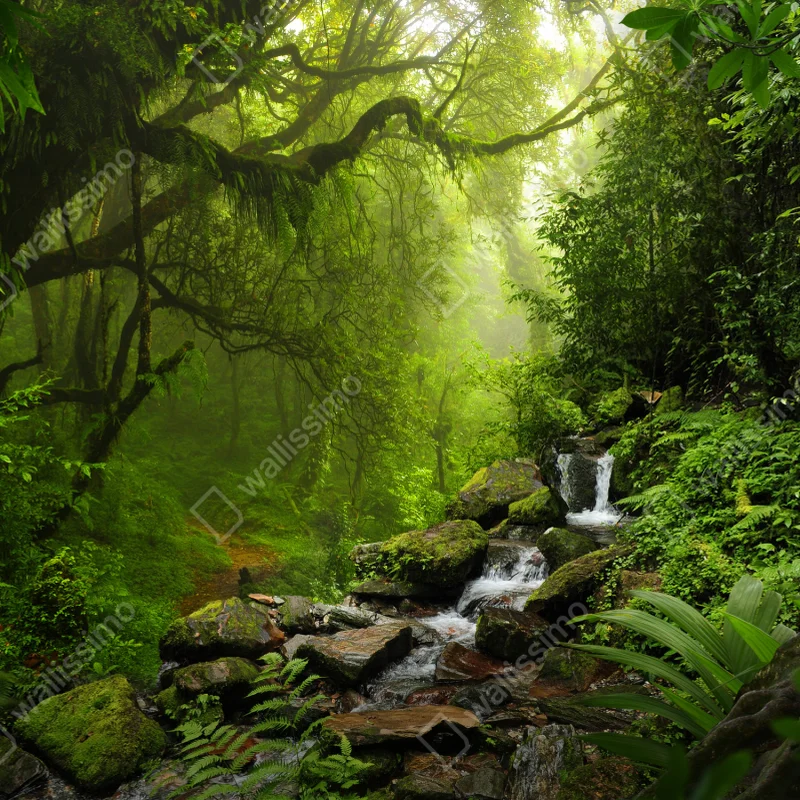 Poster ruhiger wasserfall im regenwald • Poster bei Wallnifity® Poster ruhiger wasserfall im regenwald • Poster bei Wallnifity®