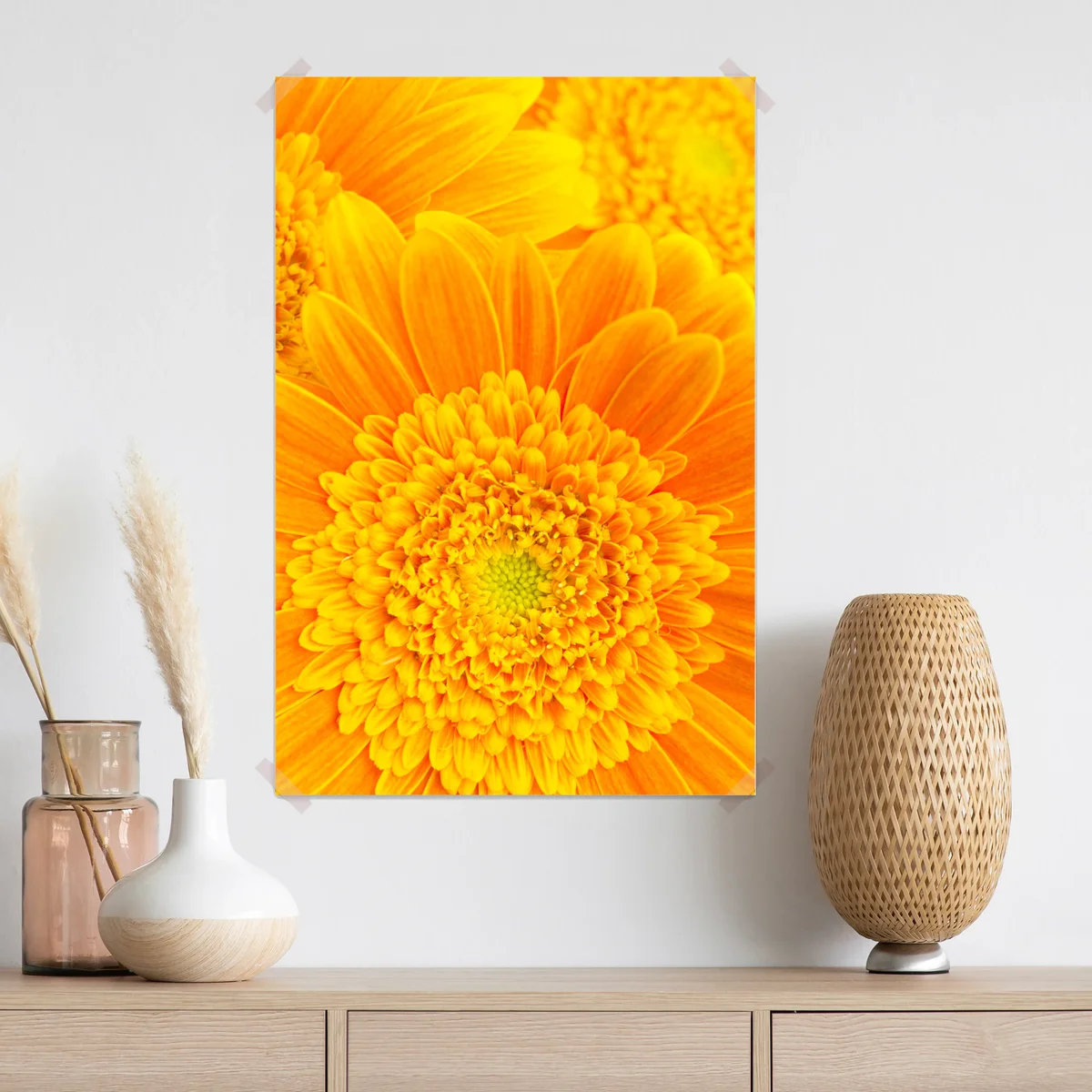 Poster intensive orange gerbera nahaufnahme Poster intensive orange gerbera nahaufnahme