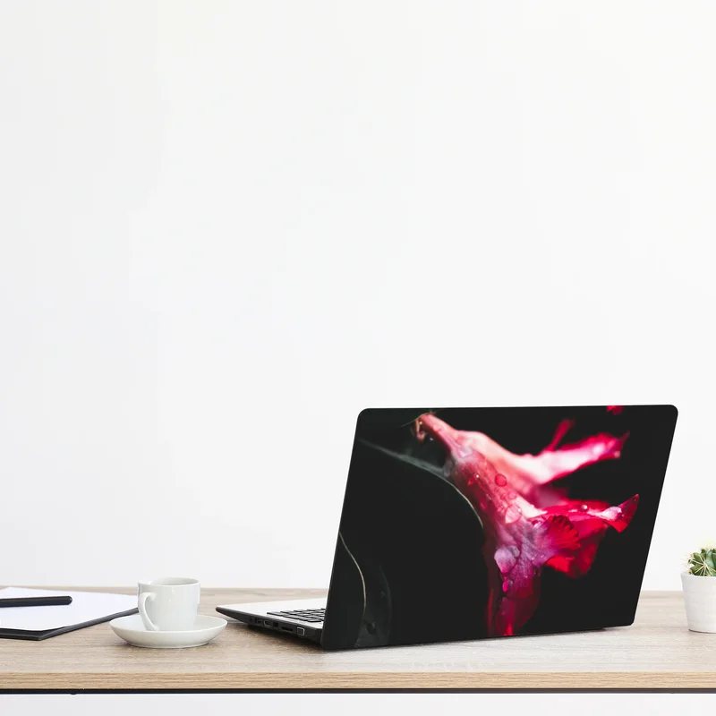 Laptop-Aufkleber rosa trompetenblume mit tau