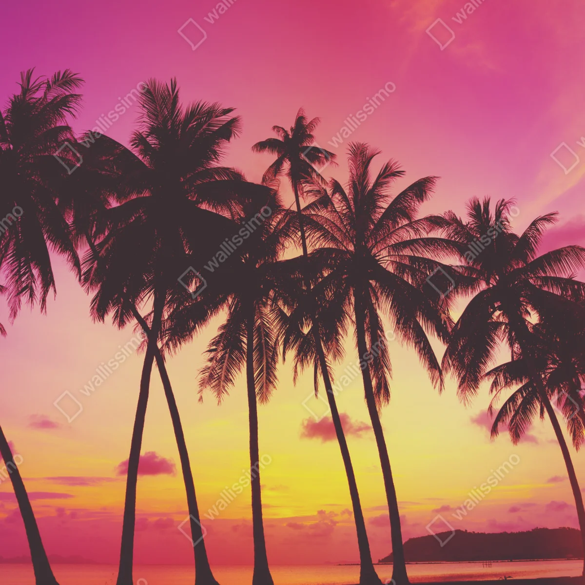 Fensteraufkleber tropischer sonnenuntergang mit palmen, Thailand Fensteraufkleber tropischer sonnenuntergang mit palmen, Thailand