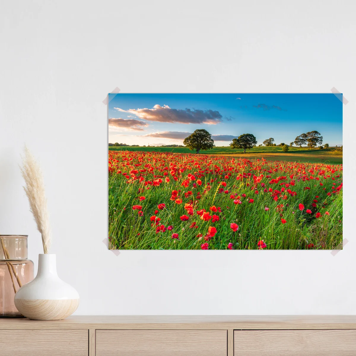 Poster rotes mohnfeld bei Corbridge Poster rotes mohnfeld bei Corbridge