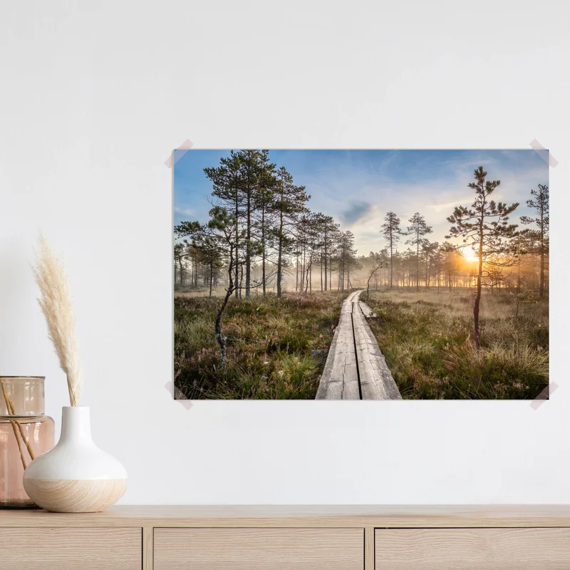 Poster sonnenaufgang über nebeliges kiefernmoor • Poster bei Wallnifity® Poster sonnenaufgang über nebeliges kiefernmoor • Poster bei Wallnifity®