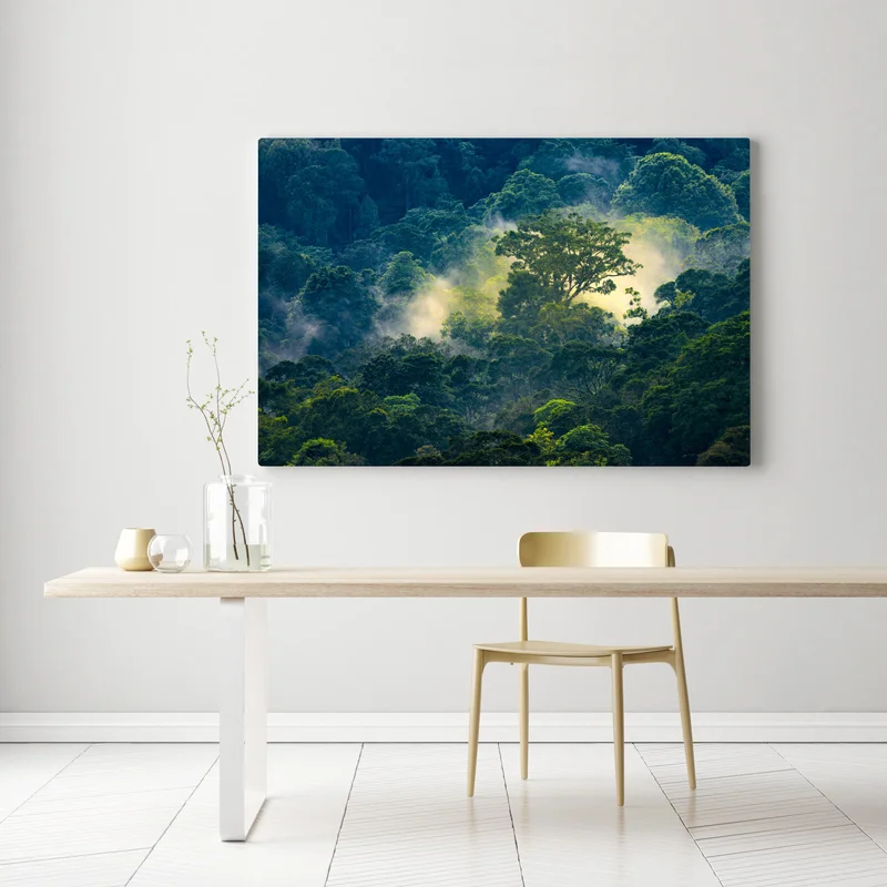 Leinwandbild nebliger regenwald mit baumkronen Leinwandbild nebliger regenwald mit baumkronen