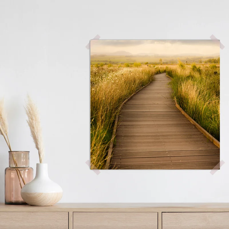 Poster sonniger steg durch die wiese • Poster bei Wallnifity® Poster sonniger steg durch die wiese • Poster bei Wallnifity®