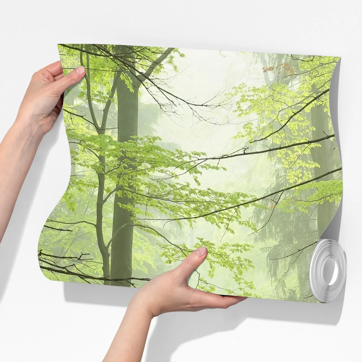 Fototapete nebliger grüner waldpfad Fototapete nebliger grüner waldpfad