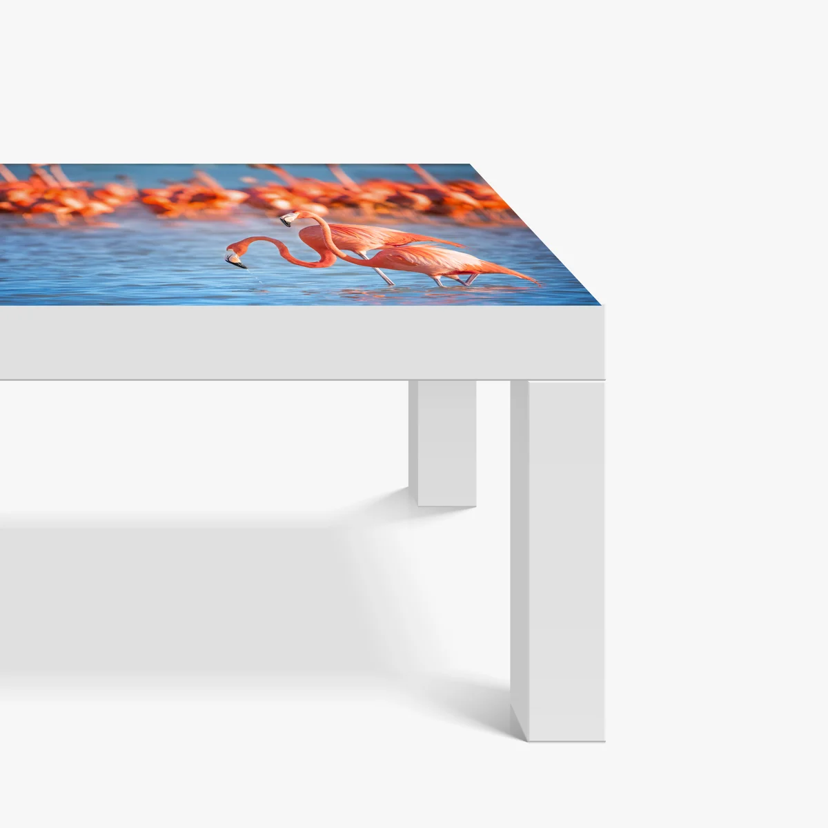 Tischaufkleber und Schreibtischaufkleber anmutige flamingos im flachen wasser Tischaufkleber und Schreibtischaufkleber anmutige flamingos im flachen wasser