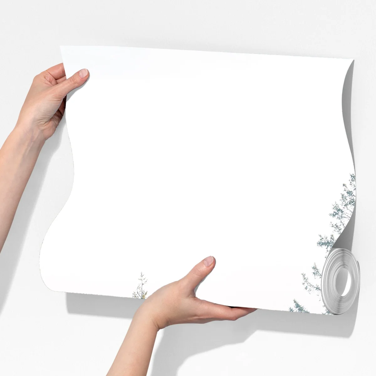 Fototapete nebliger fichtenwald am morgen Fototapete nebliger fichtenwald am morgen