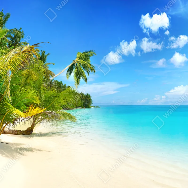 Poster Malediven türkisparadies strand • Poster bei Wallnifity® Poster Malediven türkisparadies strand • Poster bei Wallnifity®