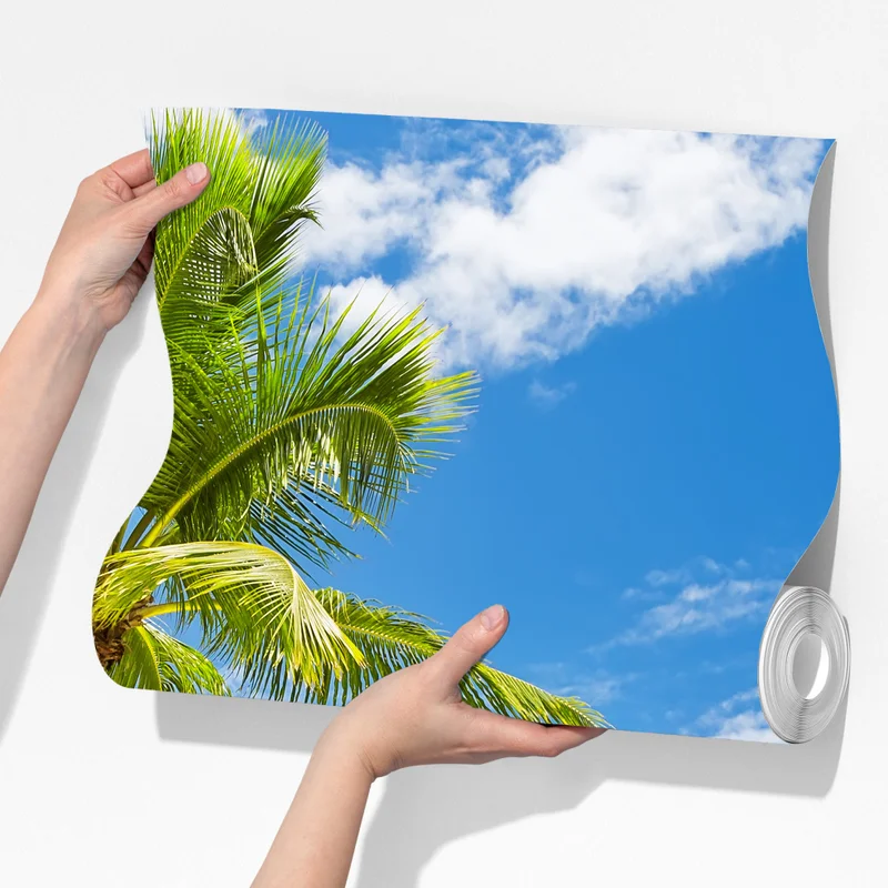 Fototapeta plaża z palmami w Punta Cana Fototapeta plaża z palmami w Punta Cana