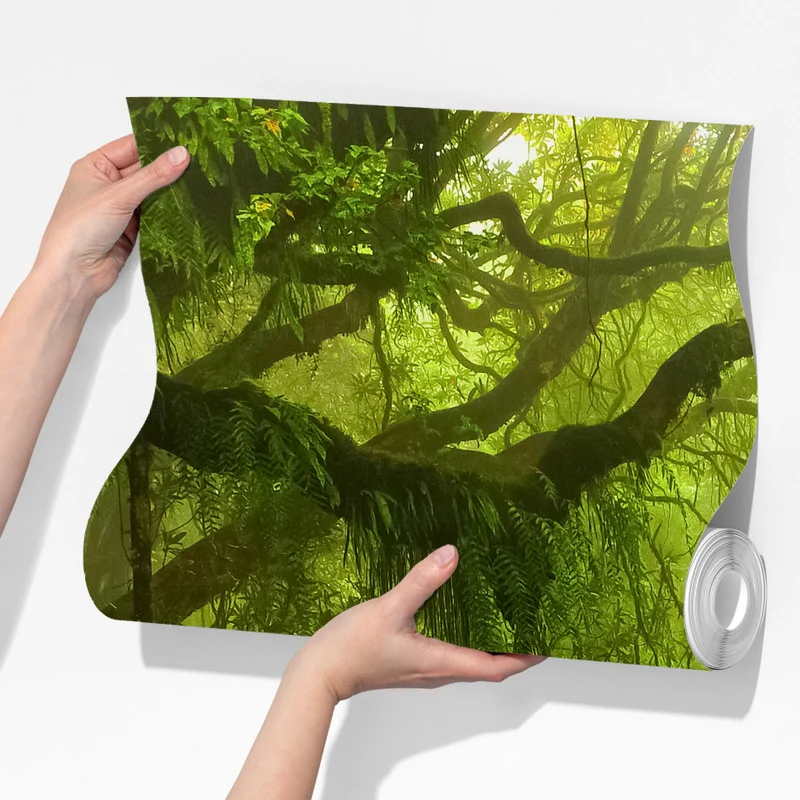 Fototapete üppiger grüner waldpfad Fototapete üppiger grüner waldpfad