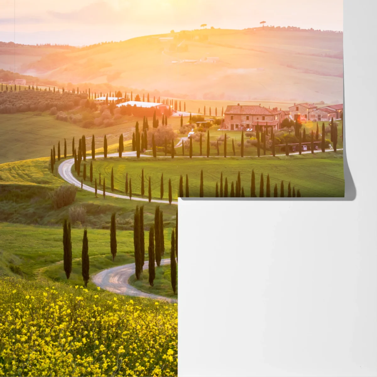 Fototapeta wschód słońca w Toskanii Fototapeta wschód słońca w Toskanii