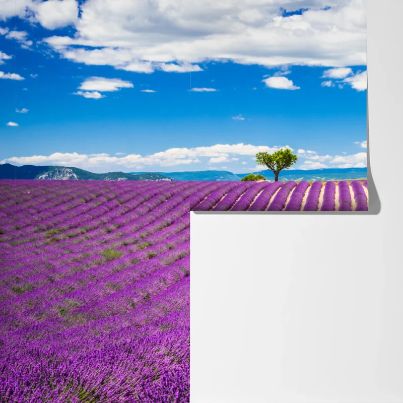 Fototapete lavendelfelder in Provence Fototapete lavendelfelder in Provence