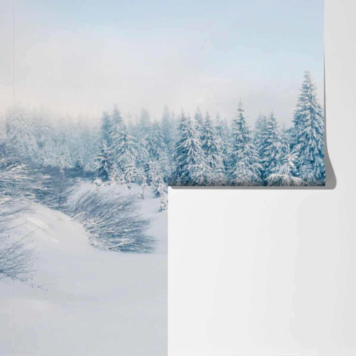 Fototapete winterliche waldpanorama mit schneebedeckten fichten Fototapete winterliche waldpanorama mit schneebedeckten fichten