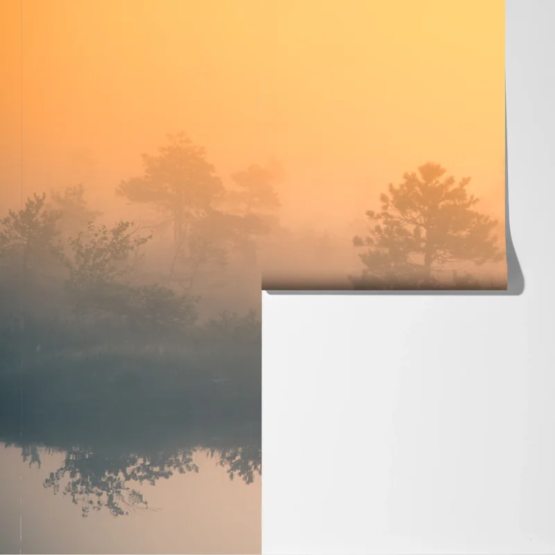 Fototapete träumerischer sonnenaufgang über nebligem moor Fototapete träumerischer sonnenaufgang über nebligem moor