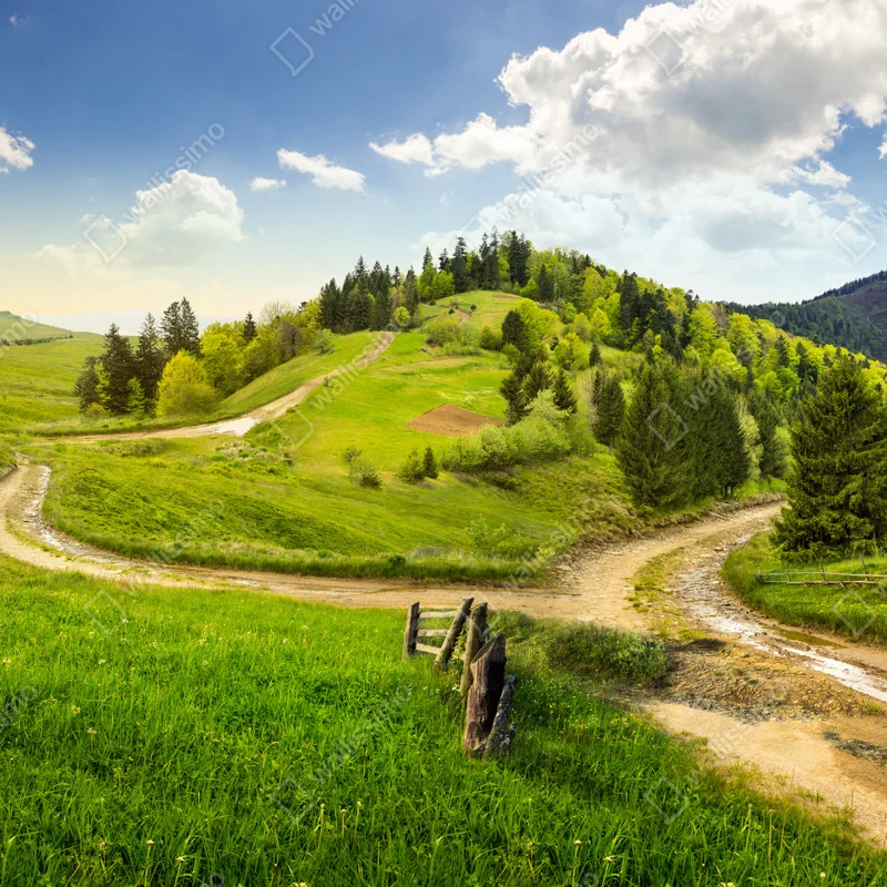 Leinwandbild gewundener feldweg durch grüne hügel Leinwandbild gewundener feldweg durch grüne hügel