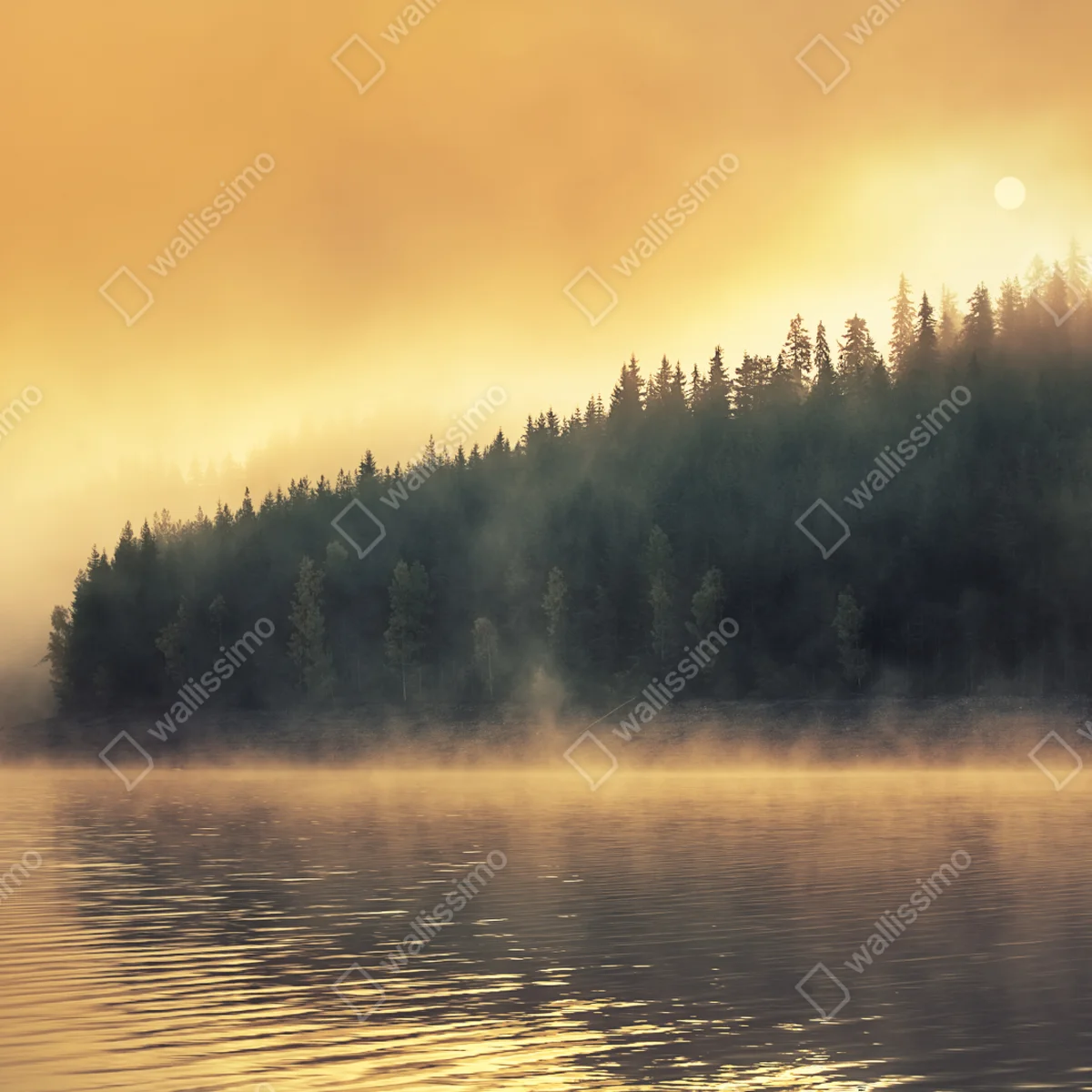 Repositionierbarer Aufkleber nebeliger goldener sonnenaufgang über waldsee Repositionierbarer Aufkleber nebeliger goldener sonnenaufgang über waldsee