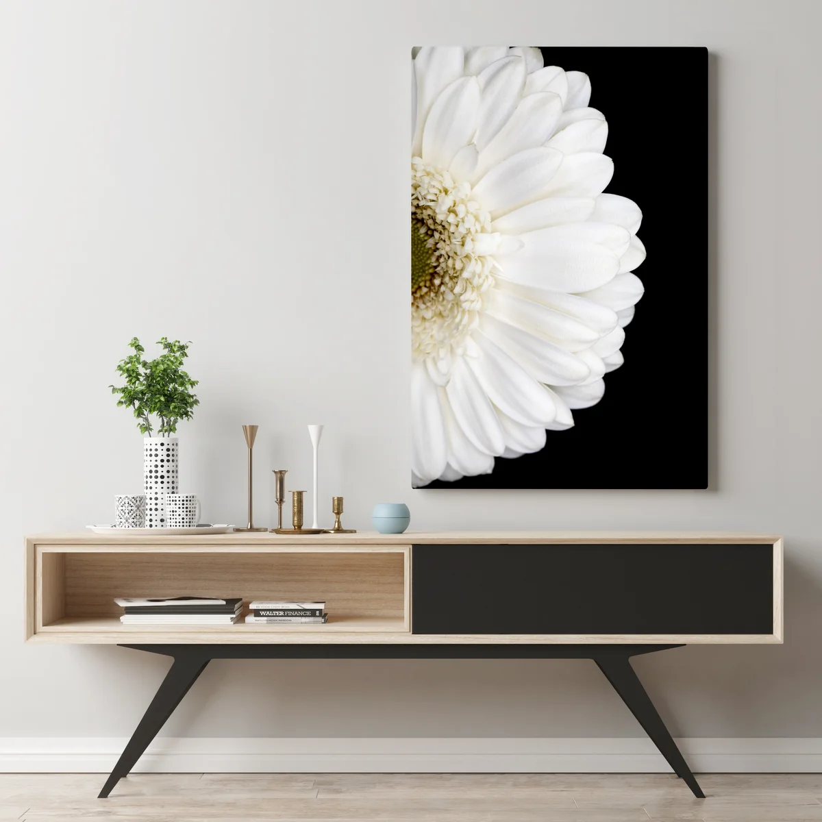 Leinwandbild weiße gerbera auf schwarzem hintergrund minimalistische nahaufnahme Leinwandbild weiße gerbera auf schwarzem hintergrund minimalistische nahaufnahme