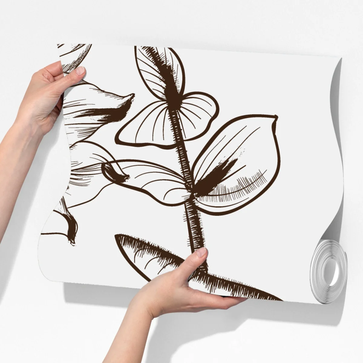 Fototapeta ilustracja botaniczna słonecznik w sepii Fototapeta ilustracja botaniczna słonecznik w sepii